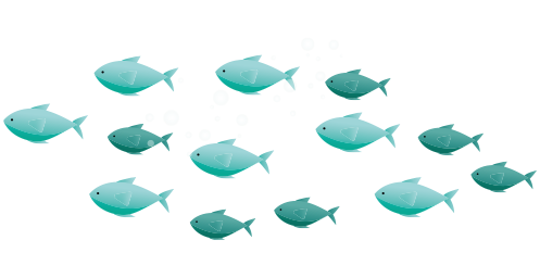 Fun fish