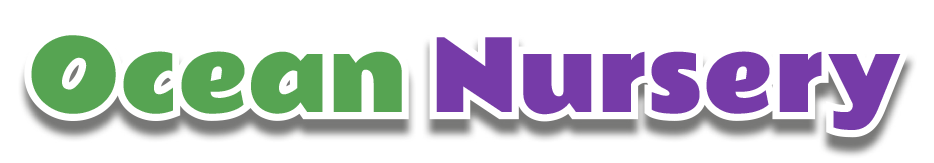 Ocean Day Nursery, Cardiff