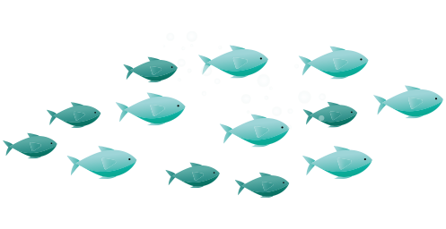 Fun fish
